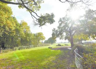 Panel to scrutinise new environment strategy amid 'climate emergency'