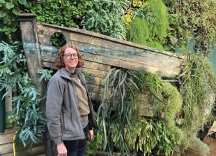 These easy-care houseplants don't need much water