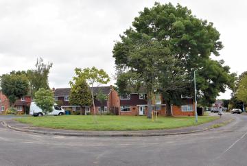 ‘Green roof’ on Maidenhead bungalow does not justify loss of protected trees, inspector says