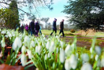 Major restoration planned at 'hidden gem' memorial gardens