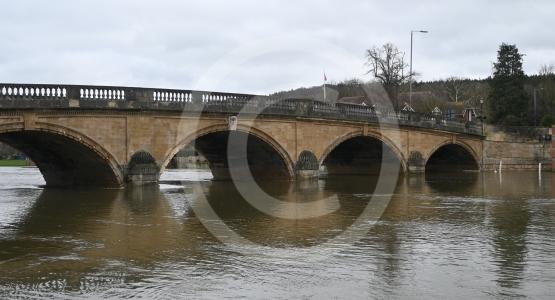 HENLEY 260212 2