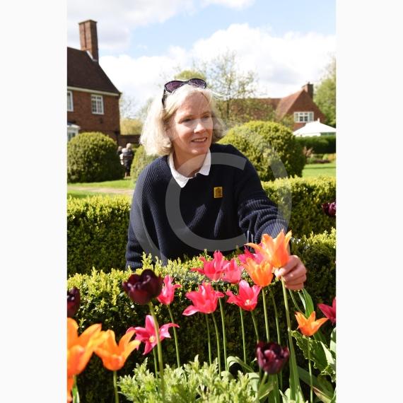 PINKNEYS GREEN 129738 Photo 1 of 19 Baylis Media Photos