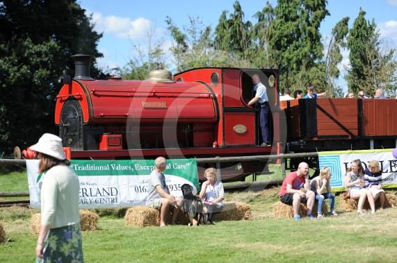 Fifield Fun Day, Fifield. It almost didn’t take place due to lack of volunteers. Charities benefiting this year are Taplow Traffic Charity Trust and Hearing Dogs.