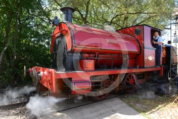 Fifield Fun Day, Fifield. It almost didn’t take place due to lack of volunteers. Charities benefiting this year are Taplow Traffic Charity Trust and Hearing Dogs.