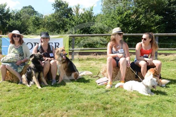 Fifield Fun Day, Fifield. It almost didn’t take place due to lack of volunteers. Charities benefiting this year are Taplow Traffic Charity Trust and Hearing Dogs.