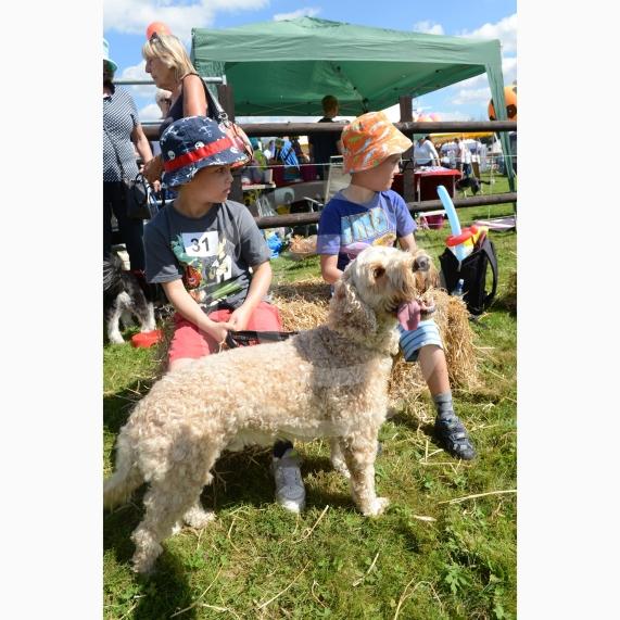 Twins, Tommy & Sam Adorno 6, Milo. Fifield Fun Day, Fifield. It almost didn’t take place due to lack of volunteers. Charities benefiting this year are Taplow Traffic Charity Trust and Hearing Dogs.