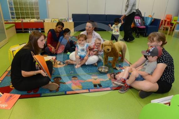 Cippenham Library, Elmshott Lane, Slough. Library is holding a story and craft session surrounding the Dogs Trust. Representatives from the charity will be at the library talking to people about how they can be better dog owners