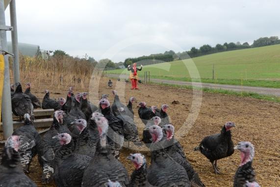 A Fight for George event, involving children taking part in activities at Copas Farm. Kings Coppice Farm, Grubwood Lane, Cookham