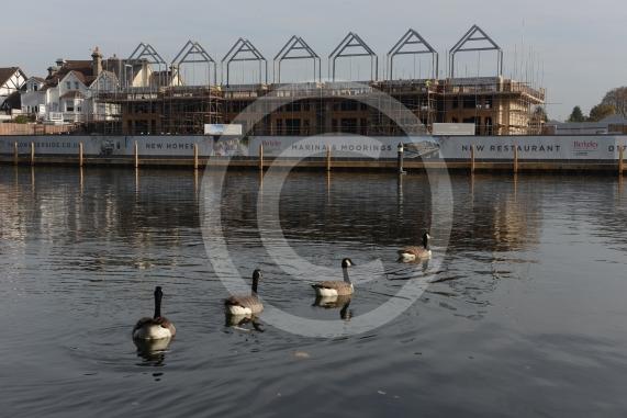 Building works at the old Skindells site and further up the river at the old paper mill site. Taplow