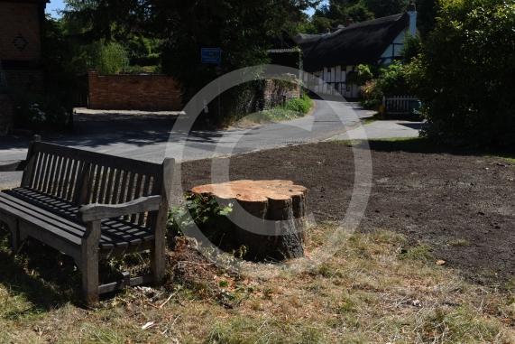 A tree has been felled as part of some works in Cookham Dean. It&rsquo;s stood for about a century and had become a local landmark. Now it&rsquo;s just a stump. Junction of Alleyns Lane and Dean Lane in Cookham Dean.