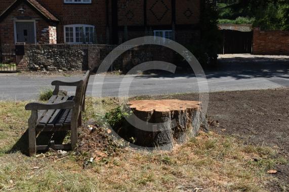 A tree has been felled as part of some works in Cookham Dean. It&rsquo;s stood for about a century and had become a local landmark. Now it&rsquo;s just a stump. Junction of Alleyns Lane and Dean Lane in Cookham Dean.