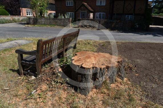 A tree has been felled as part of some works in Cookham Dean. It&rsquo;s stood for about a century and had become a local landmark. Now it&rsquo;s just a stump. Junction of Alleyns Lane and Dean Lane in Cookham Dean.