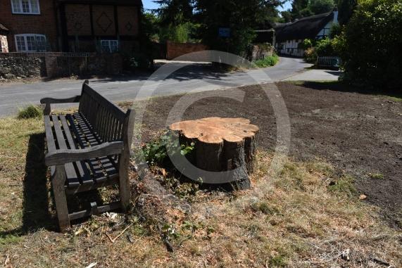 A tree has been felled as part of some works in Cookham Dean. It&rsquo;s stood for about a century and had become a local landmark. Now it&rsquo;s just a stump. Junction of Alleyns Lane and Dean Lane in Cookham Dean.