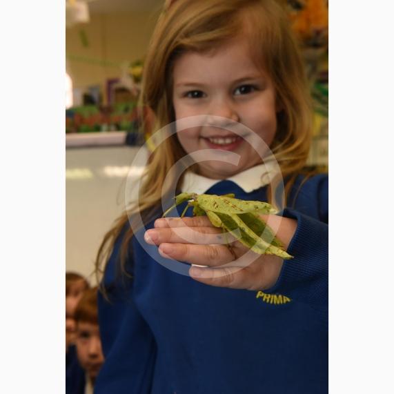 Cippenham Primary School, Elmshott Lane, Cippenham. Jonathan&rsquo;s Jungle Roadshow will be coming to Cippenham Primary School. Beau Emmerson 4