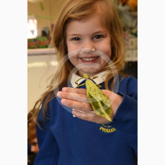 Cippenham Primary School, Elmshott Lane, Cippenham. Jonathan&rsquo;s Jungle Roadshow will be coming to Cippenham Primary School. Beau Emmerson 4