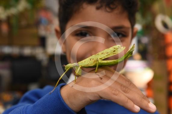 Cippenham Primary School, Elmshott Lane, Cippenham. Jonathan&rsquo;s Jungle Roadshow will be coming to Cippenham Primary School. Adam Boukir 5.