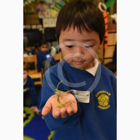 Cippenham Primary School, Elmshott Lane, Cippenham. Jonathan&rsquo;s Jungle Roadshow will be coming to Cippenham Primary School. Charlie Jang 4.