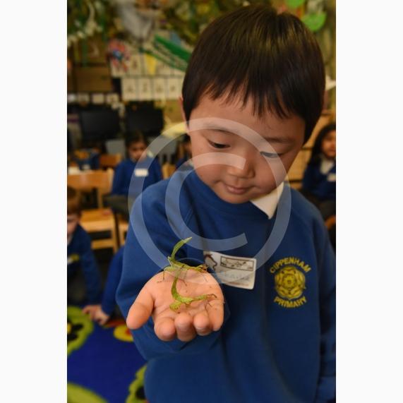 Cippenham Primary School, Elmshott Lane, Cippenham. Jonathan&rsquo;s Jungle Roadshow will be coming to Cippenham Primary School. Charlie Jang 4.