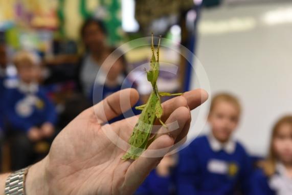 Cippenham Primary School, Elmshott Lane, Cippenham. Jonathan&rsquo;s Jungle Roadshow will be coming to Cippenham Primary School.