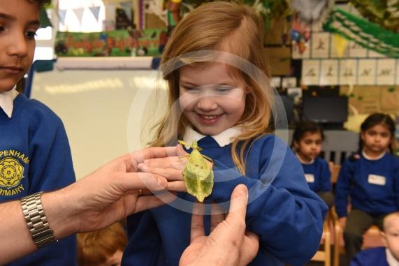 Cippenham Primary School, Elmshott Lane, Cippenham. Jonathan&rsquo;s Jungle Roadshow will be coming to Cippenham Primary School. Beau Emmerson 4