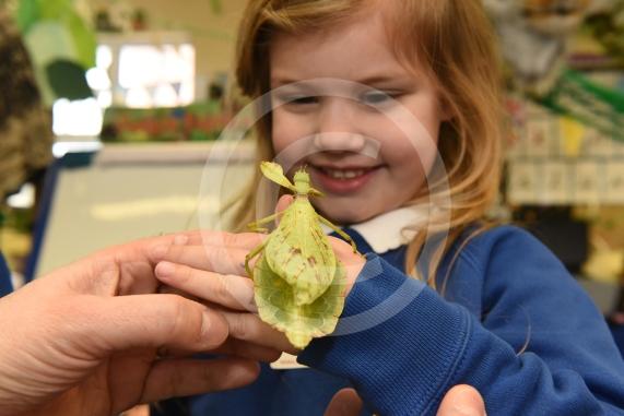 Cippenham Primary School, Elmshott Lane, Cippenham. Jonathan&rsquo;s Jungle Roadshow will be coming to Cippenham Primary School. Beau Emmerson 4