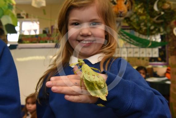 Cippenham Primary School, Elmshott Lane, Cippenham. Jonathan&rsquo;s Jungle Roadshow will be coming to Cippenham Primary School. Beau Emmerson 4