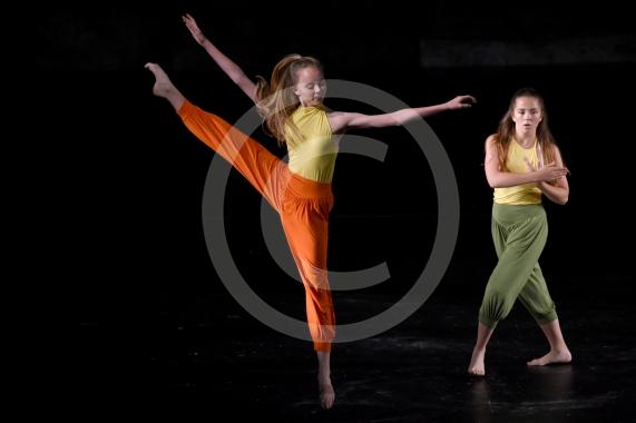 Susan Handy School of Dance's summer show at Ferrer Theatre, Eton College - Photo: Emma Sheppard 22/7/18