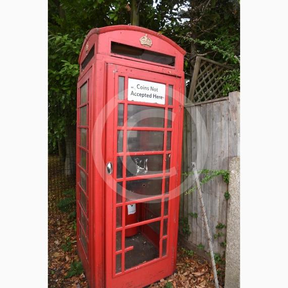 Tate Pickering, 11, who had the idea of transforming an unused red phone box into a book swap library.Stroud Farm Road, Holyport, Maidenhead. 
