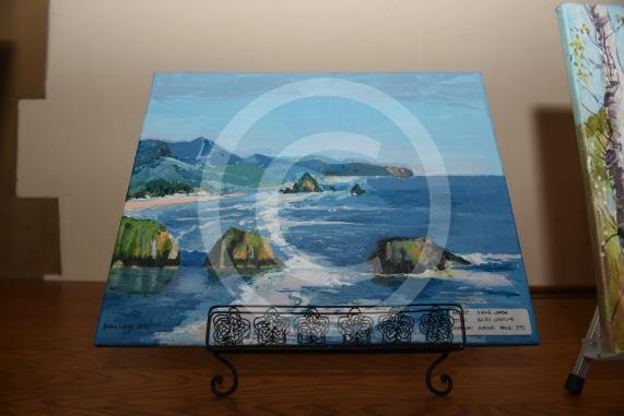 St Luke&rsquo;s Church, Norfolk Road, Maidenhead. Maidenhead Painting Club is holding an art exhibition on the theme of water at St Luke&rsquo;s Church. Diana Large 'Rocky Coastline'