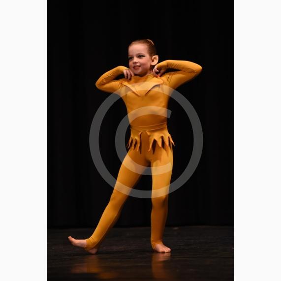 Dance element of the Maidenhead Festival of Music and Dance in the Desborough Suite, Town HallCharlotte Sloyan