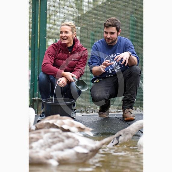 Swan Lifeline's patron Gabby Logan pictured feeding the swans with Liam Dawkins whilst visiting the centre to help out for the day - Photo: Emma Sheppard 