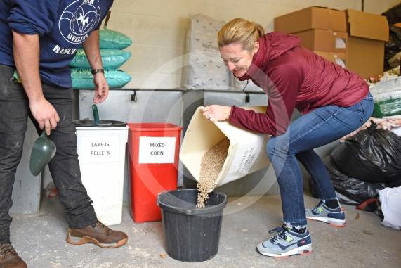 Swan Lifeline's patron Gabby Logan visiting the centre to help out for the day - Photo: Emma Sheppard 