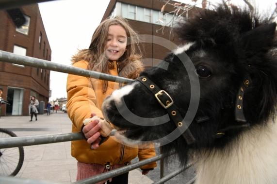 Tia Barnes, eight, feeds Peggy the pony.Slough Borough Council&rsquo;s Festive Fun event.Slough Town Square and Slough High Street.
