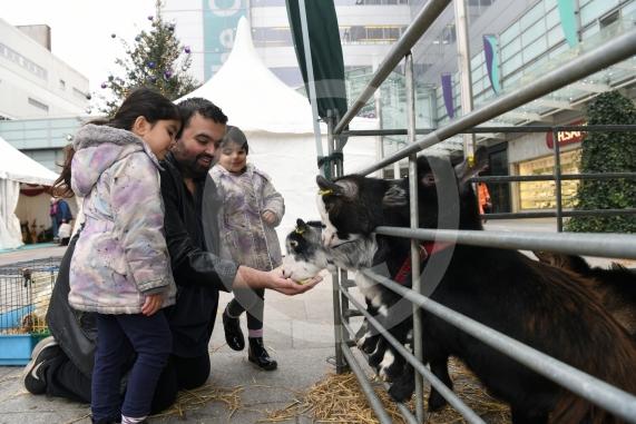 Ify Khan feeds the goats watched by nieces Anaya Khan, four, and Aleeza Khan, four.Slough Borough Council&rsquo;s Festive Fun event.Slough Town Square and Slough High Street.