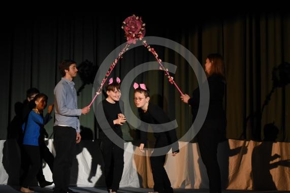 The two-day primary dance festival starts at the Magnet Leisure Centre, Maidenhead today. The event has been organised by the Ascot and Maidenhead School Sport Partnership and will feature 800 dancers from 20 primary schools. FOREST BRIDGE