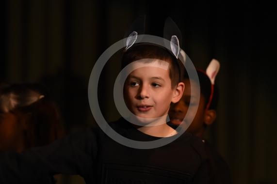 The two-day primary dance festival starts at the Magnet Leisure Centre, Maidenhead today. The event has been organised by the Ascot and Maidenhead School Sport Partnership and will feature 800 dancers from 20 primary schools. FOREST BRIDGE