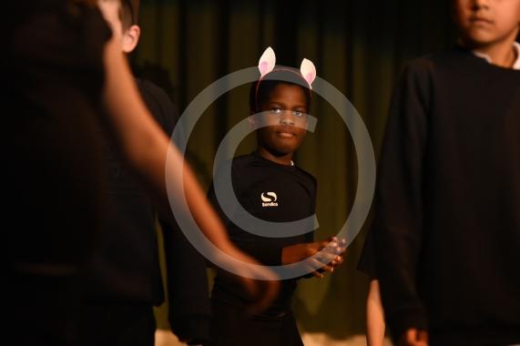 The two-day primary dance festival starts at the Magnet Leisure Centre, Maidenhead today. The event has been organised by the Ascot and Maidenhead School Sport Partnership and will feature 800 dancers from 20 primary schools. FOREST BRIDGE