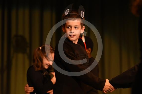 The two-day primary dance festival starts at the Magnet Leisure Centre, Maidenhead today. The event has been organised by the Ascot and Maidenhead School Sport Partnership and will feature 800 dancers from 20 primary schools. FOREST BRIDGE