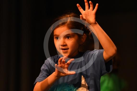 The two-day primary dance festival starts at the Magnet Leisure Centre, Maidenhead today. The event has been organised by the Ascot and Maidenhead School Sport Partnership and will feature 800 dancers from 20 primary schools. BOYNE HILL INFANTS