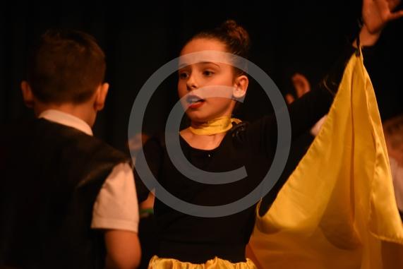 The two-day primary dance festival starts at the Magnet Leisure Centre, Maidenhead today. The event has been organised by the Ascot and Maidenhead School Sport Partnership and will feature 800 dancers from 20 primary schools. LARCHFIELD