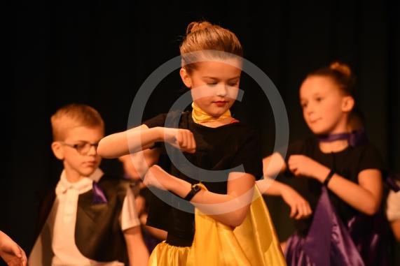 The two-day primary dance festival starts at the Magnet Leisure Centre, Maidenhead today. The event has been organised by the Ascot and Maidenhead School Sport Partnership and will feature 800 dancers from 20 primary schools. LARCHFIELD