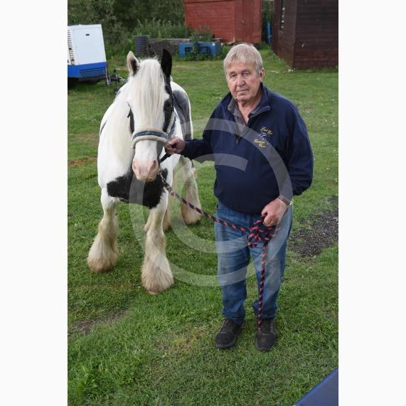 Whistley Mill Lane, Twyford. Ian Lucken, Lands End Equestrian Centre. One of their Shetland ponies was killed in Stanlake Meadow, Twyford – they are appealing for information from the public. Ian Lucken pictured with Nobbie