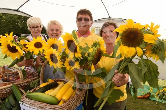LtoR Jenny Wager, Wendy Stafford, Malcolm Bray and Teresa Ramsden from TATA hold sunflowers grown at their allotments.Twyford Village fete, Stanlake Meadow recreation ground, Waltham Road, Twyford.