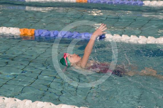 Abbi Todd, seven, swims the backstroke.Maidenhead Lions Club Swimarathon 2019.Magnet Leisure Centre, Holmanleaze, Maidenhead