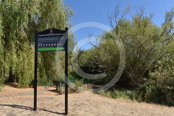 Cippenham Village Pond and Rose Garden, Lower Cippenham Lane, SL1 5DN. Cippenham Village Pond has completely dried up.