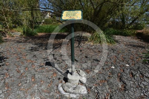 Cippenham Village Pond and Rose Garden, Lower Cippenham Lane, SL1 5DN. Cippenham Village Pond has completely dried up.