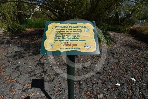 Cippenham Village Pond and Rose Garden, Lower Cippenham Lane, SL1 5DN. Cippenham Village Pond has completely dried up.