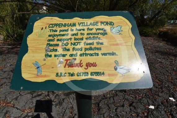 Cippenham Village Pond and Rose Garden, Lower Cippenham Lane, SL1 5DN. Cippenham Village Pond has completely dried up.