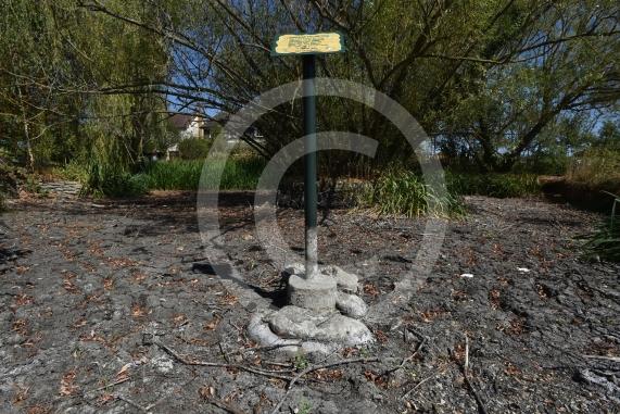 Cippenham Village Pond and Rose Garden, Lower Cippenham Lane, SL1 5DN. Cippenham Village Pond has completely dried up.