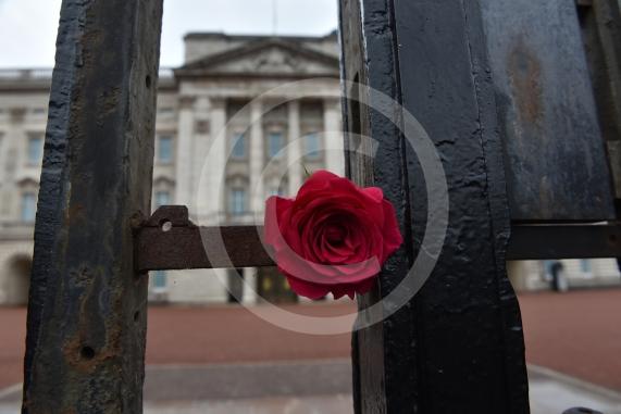 Scenes outside Biuckingham Palace, London, awaiting the Queen&rsquo;s Coffin